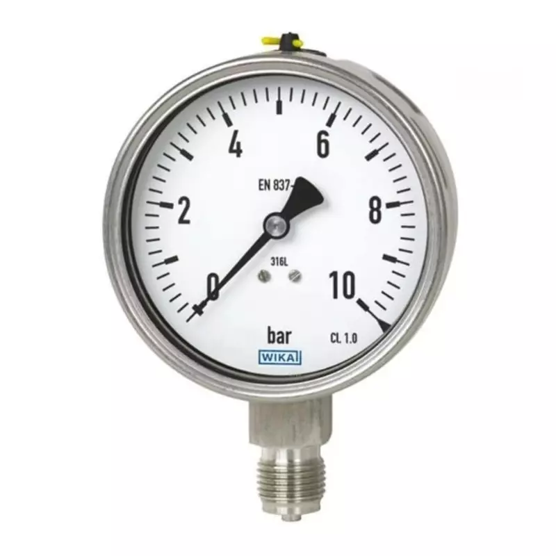 Gauge, Pressure, 0 6 Bar, Dial Dia: 100mm, Case S.S., With Brass Thread, Nipple Dia 1/2" NPT, Bottom Connection