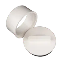 Cleanout Adapter SCH40
